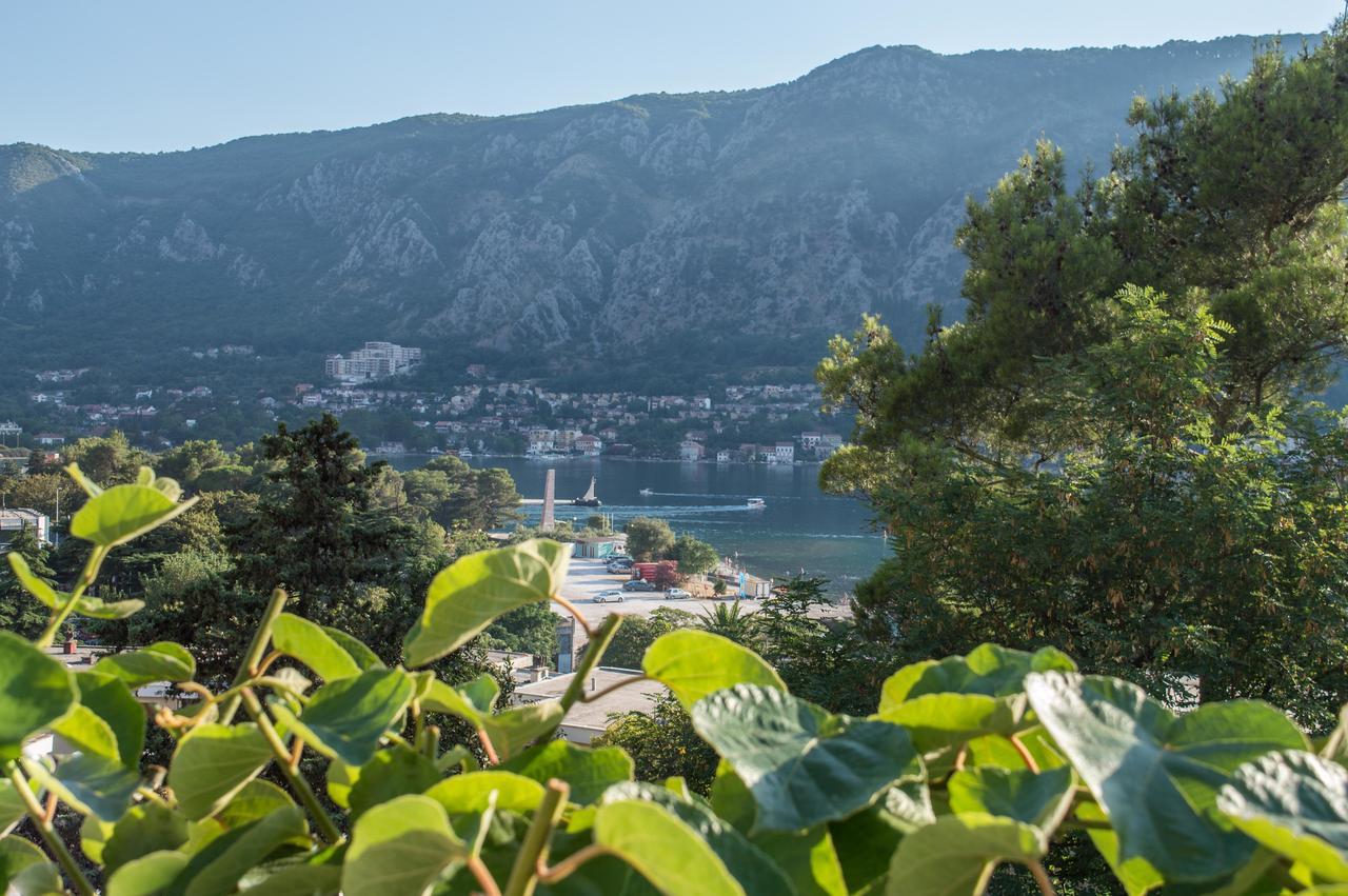 Apartment Kiwi Kotor Exterior photo
