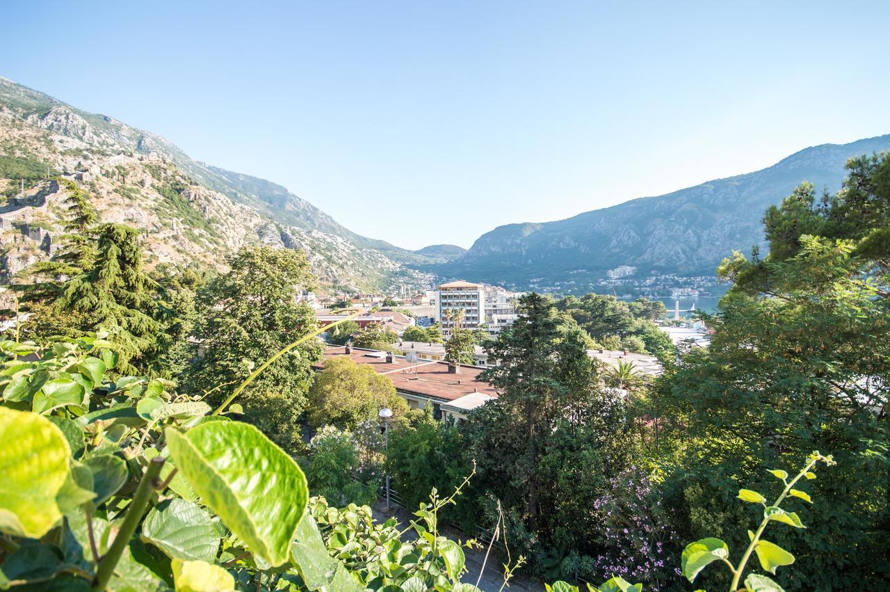 Apartment Kiwi Kotor Exterior photo
